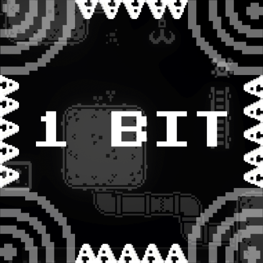 1 Bit