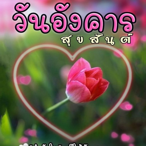 การ์ดอรุณสวัสดิ์ 2022