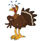 Turkey Takedown - Turkey Hunti