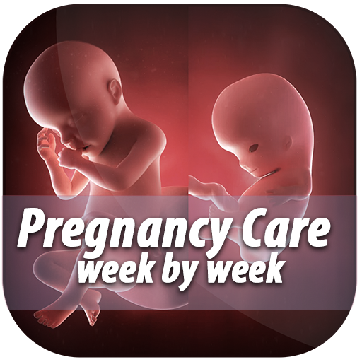 Pregnancy Care Week by Week