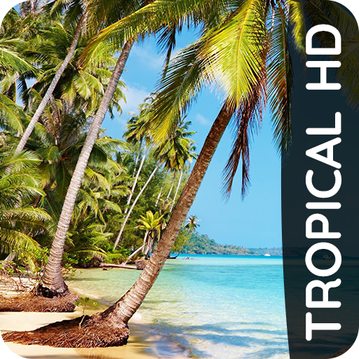 Tropical wallpapers
