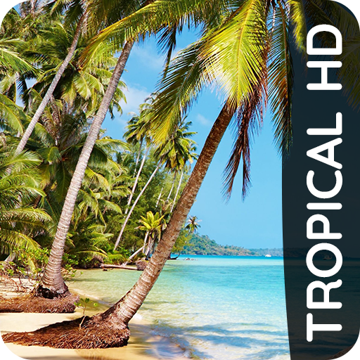 Tropical wallpapers