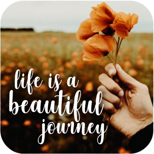 Beautiful Life Quotes