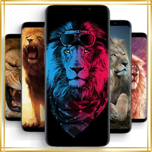 Lion Wallpapers