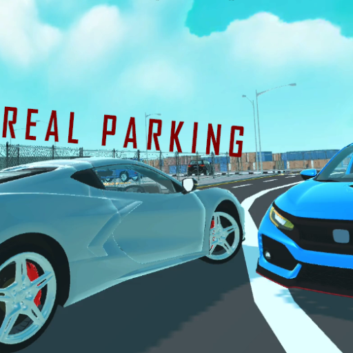 Car driver simulator : parking