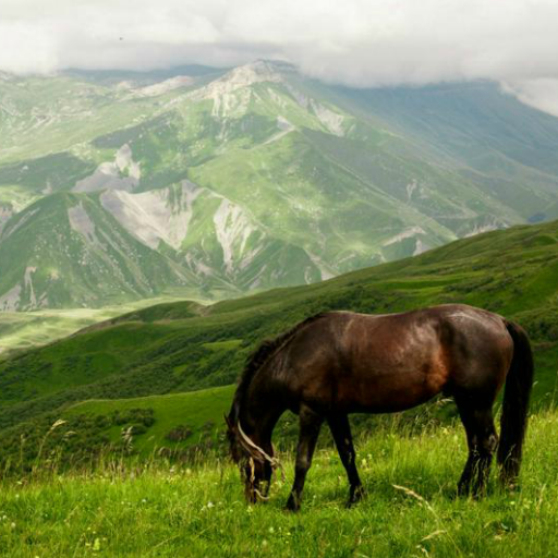 Русско-аварский разговорник