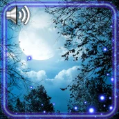 Night Moon Live Wallpaper