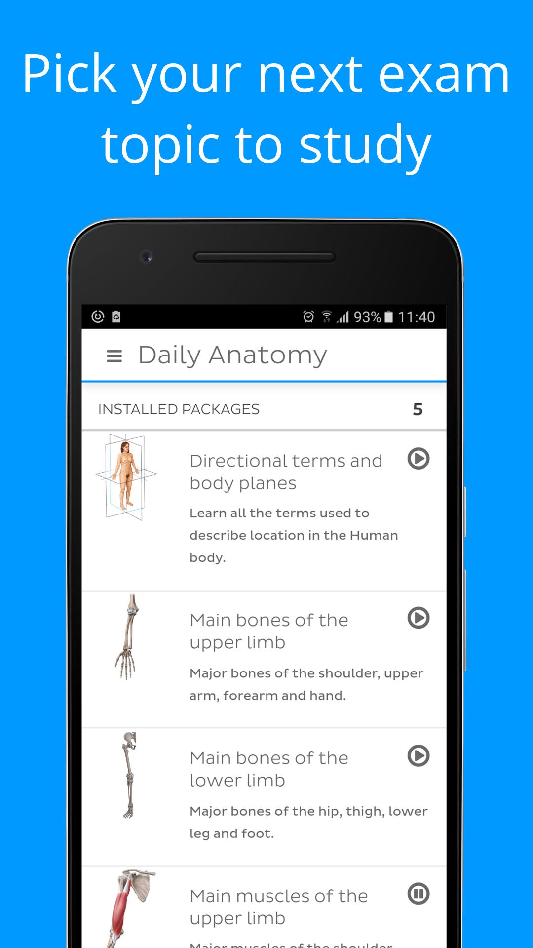 在電腦上下載Daily Anatomy Flashcards GameLoop官方網站