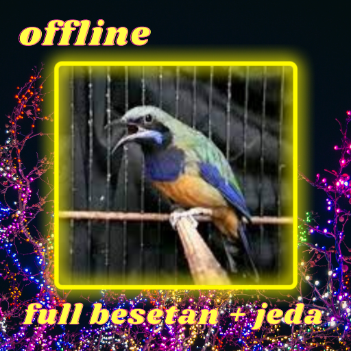 Masteran Burung Cucak Cungkok 