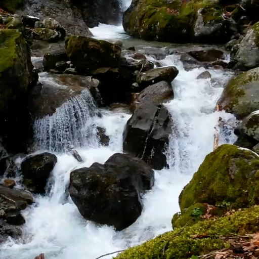 Nature Live Wallpaper