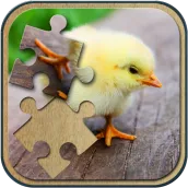 Cute Animals Jigsaw Puzzle