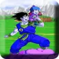 Goku Saiyan Fight shin budokai