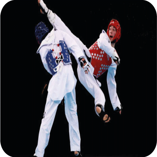 Taekwondo Techniques