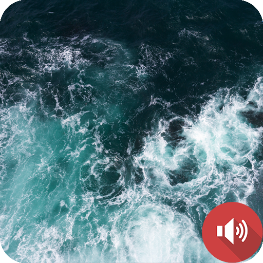 Sea Sounds