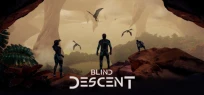 Blind Descent