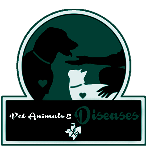 Pet Animal Disease