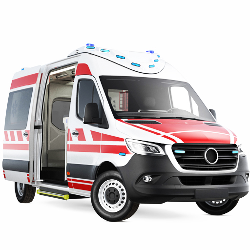 Ambulans Simülasyonu 2021