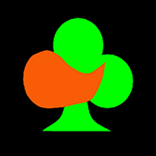 BJ Bridge Beginner (2025)