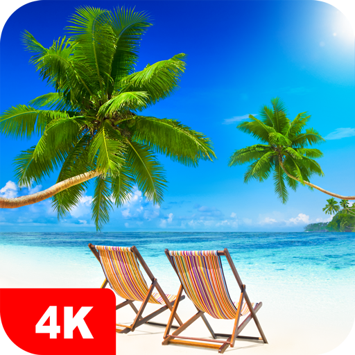 Tropical Wallpapers 4K