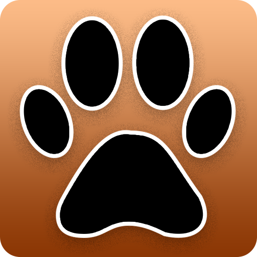 Music Video Downloader Mp3paw