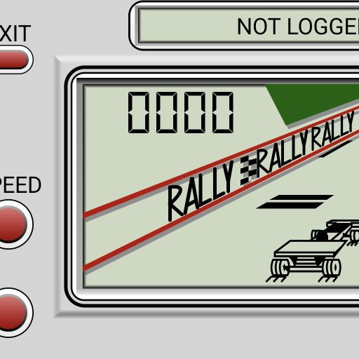 Autoslalom - Electronica Race