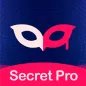 Secret Pro - live video