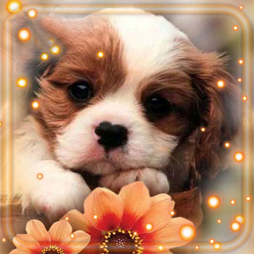 Glamour Puppies Live Wallpaper