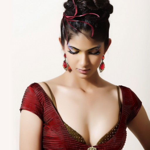 South Indian Actress Hot Photo