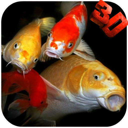 Koi HD Video Live Wallpaper