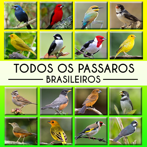 Todos os Pássaros Brasileiros