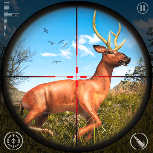 Hunting Games : Gun Games 3D