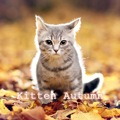 Kitten Autumn Theme +HOME