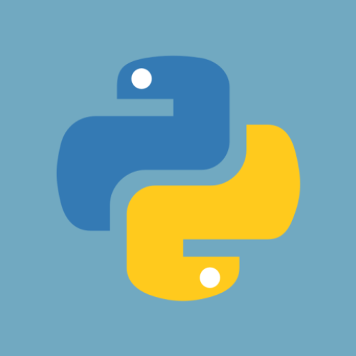 Python Runtime Environment