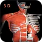 Anatomy Learning 3D- Anatomy of the human body