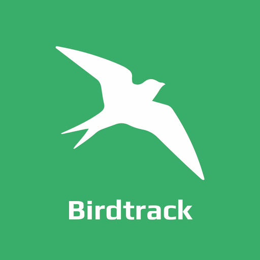 Bird Track