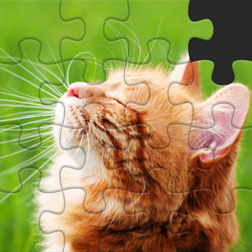 पशु पहेली खेल - Animal puzzles