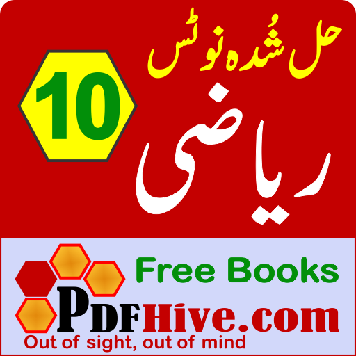 Math 10 Solved Urdu Medium - p