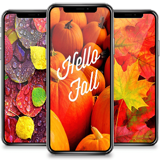 Fall Wallpaper HD