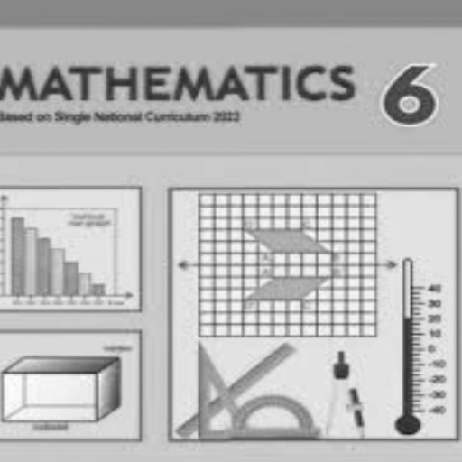 6th Maths New key and book