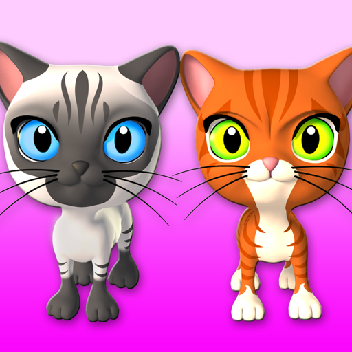 bercakap 3 Kawan kucing &Bunny
