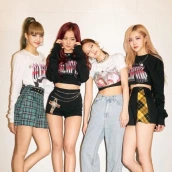 Blackpink Wallpaper HD 4K 2022