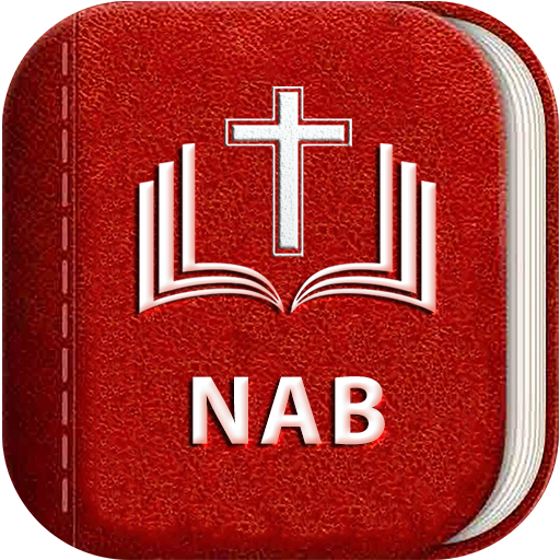 NAB Audio Bible (American)