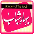 Jawani Ki Baharain