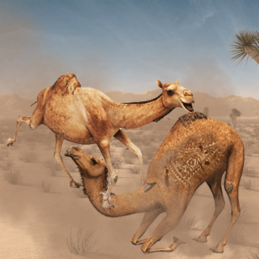 Camel Attack Fighting