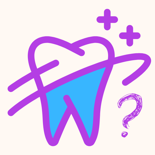 Tooth Identification Quiz