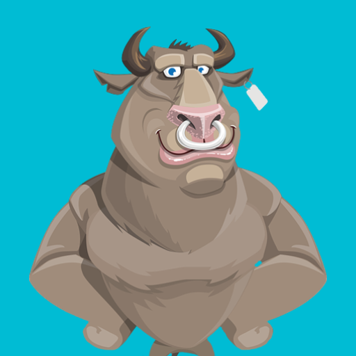 Toro VPN - Secure VPN Proxy