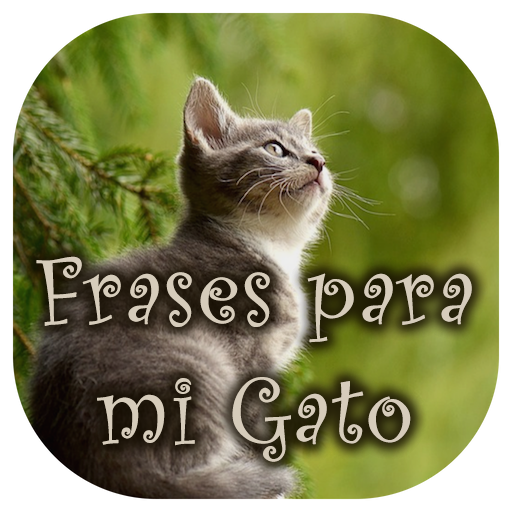 Frases para mi Gato