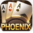 Phoenix Game