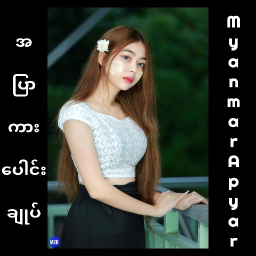 အပြာကားပေါင်းချုပ်_ Allkar Pro