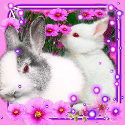 Funny Bunnies Live Wallpaper